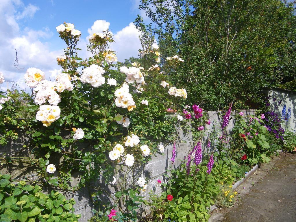 Kirribilli Bed & Breakfast Pleine-Fougeres Luaran gambar